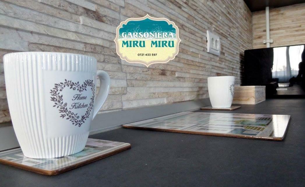 Apartmán Garsoniera Miru Miru Năvodari Exteriér fotografie